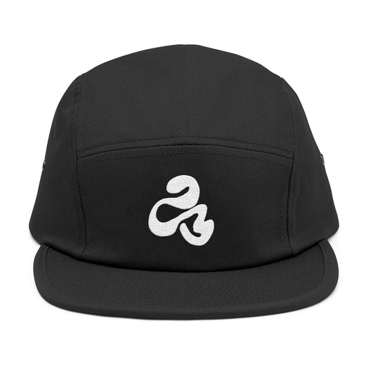 Cap 5 panel